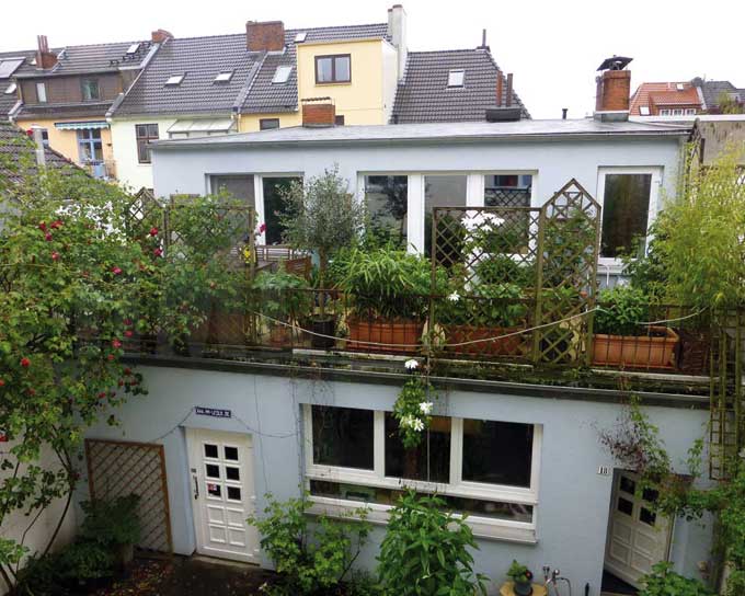 Outside your window: A courtyard, lush green and singing birds